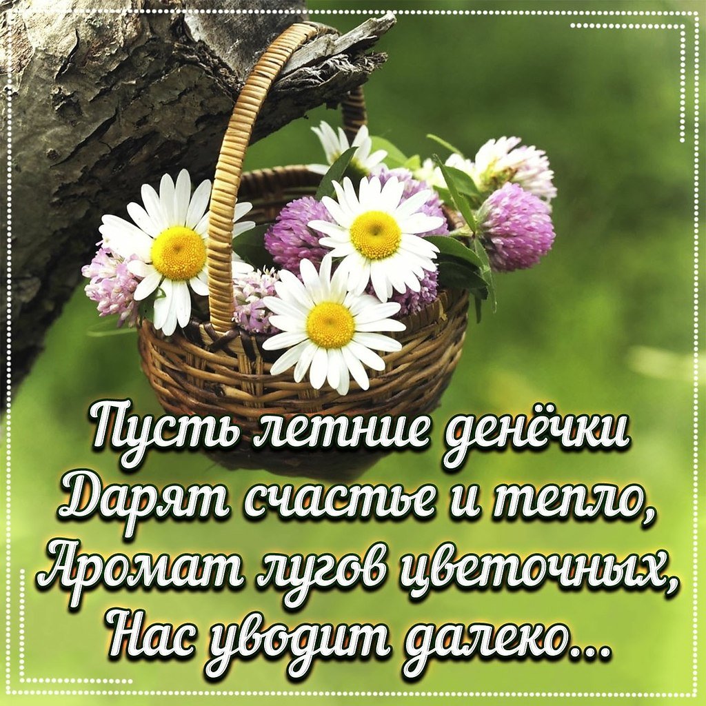 Добрая Пчелка