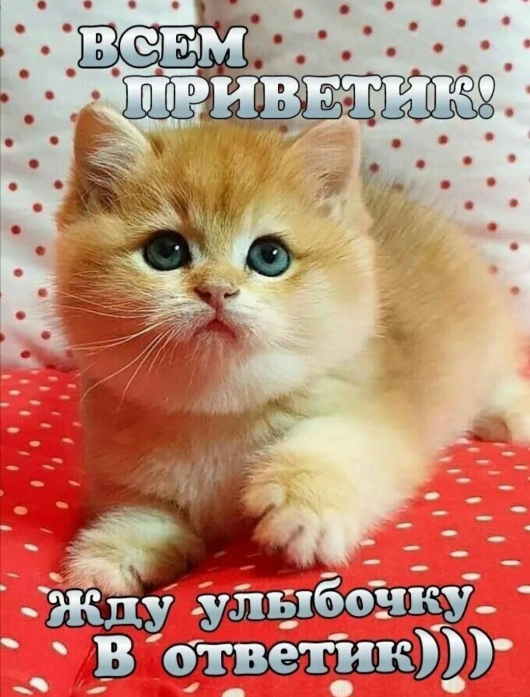 Привет картинки прикольные