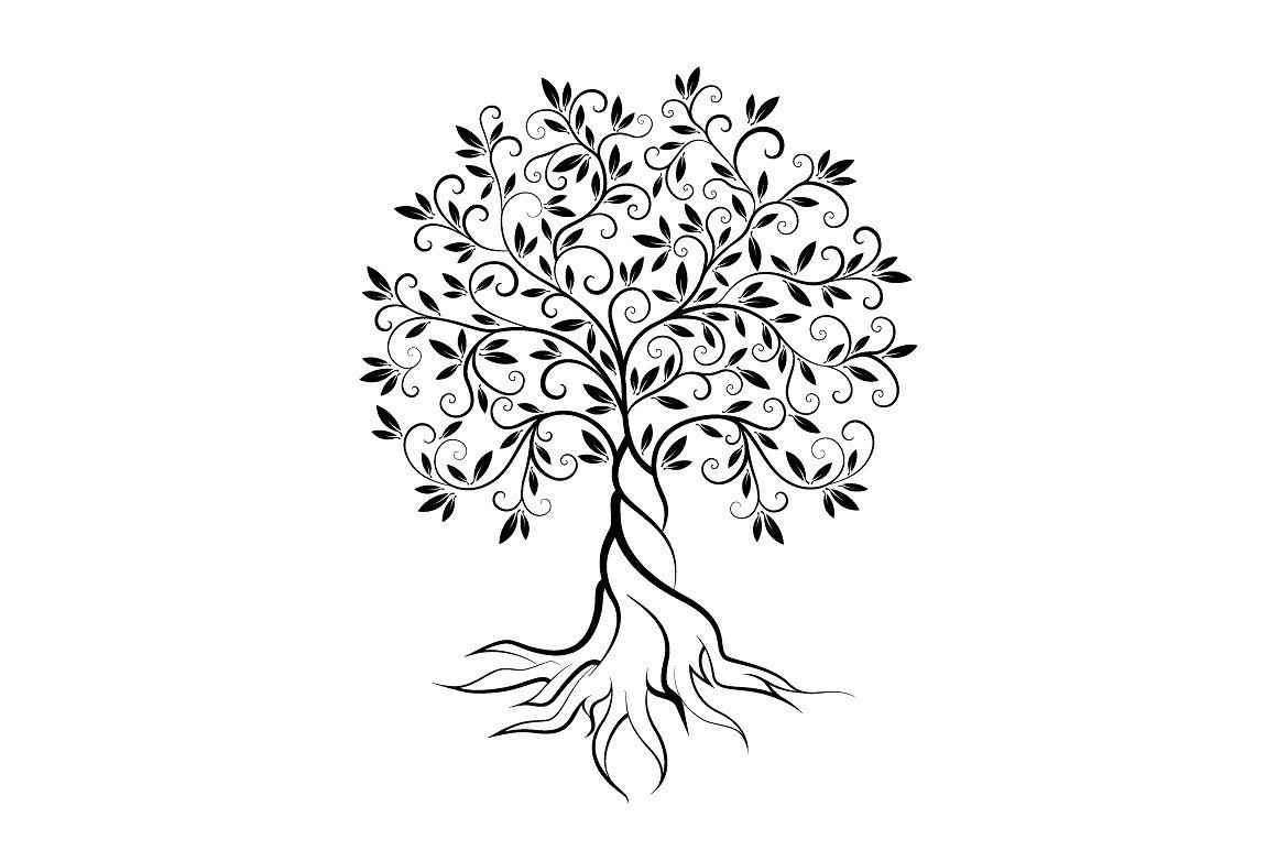 Оливковое дерево силуэт