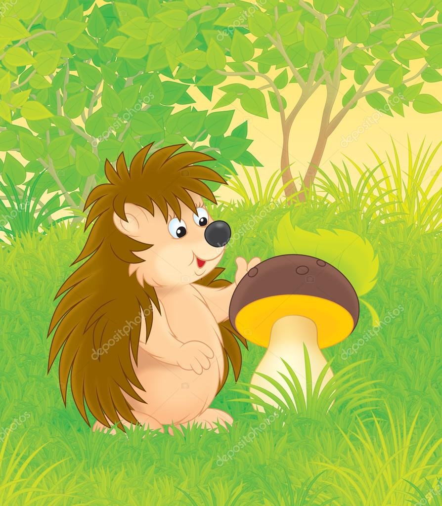 Ежик рисунок