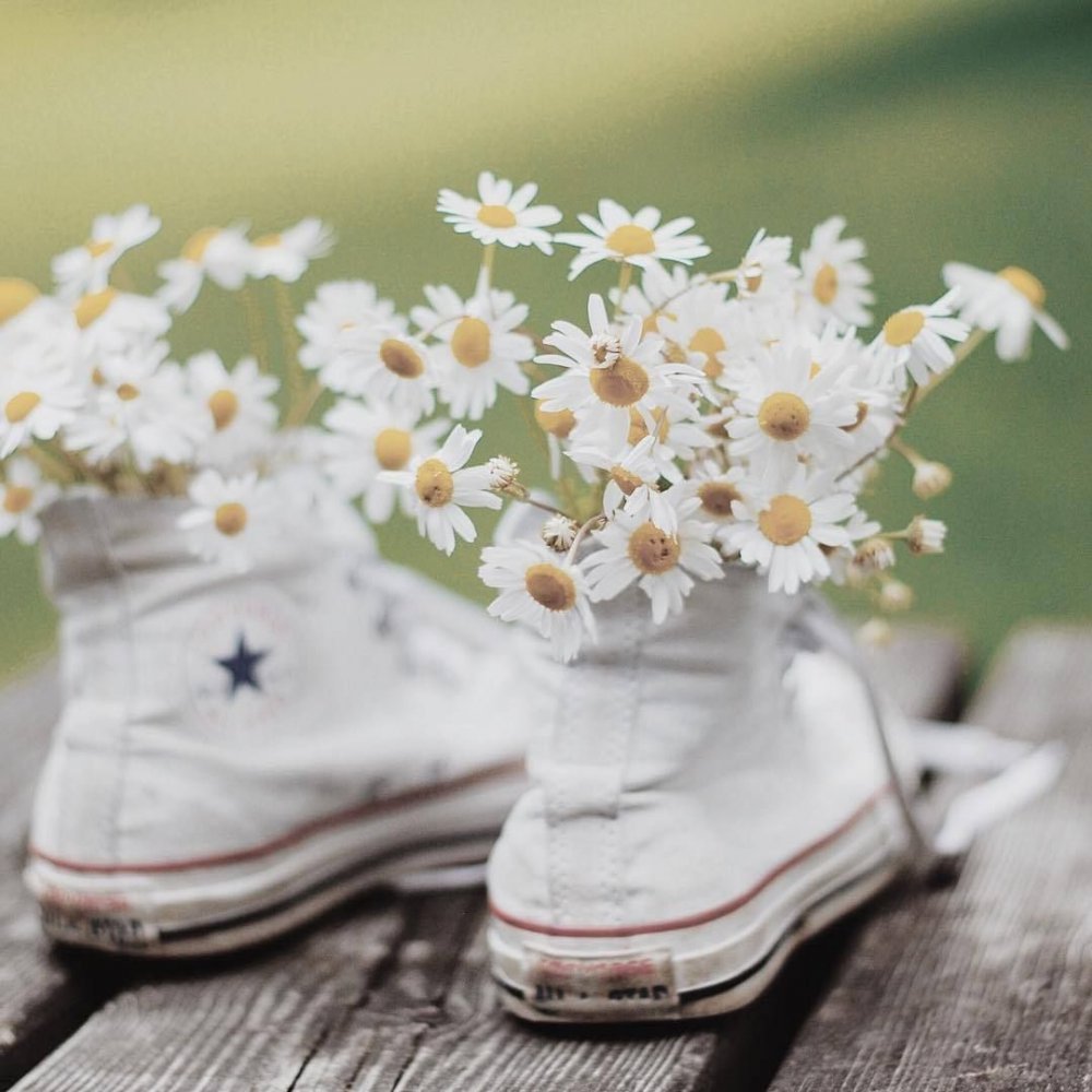 Цветы в кедах