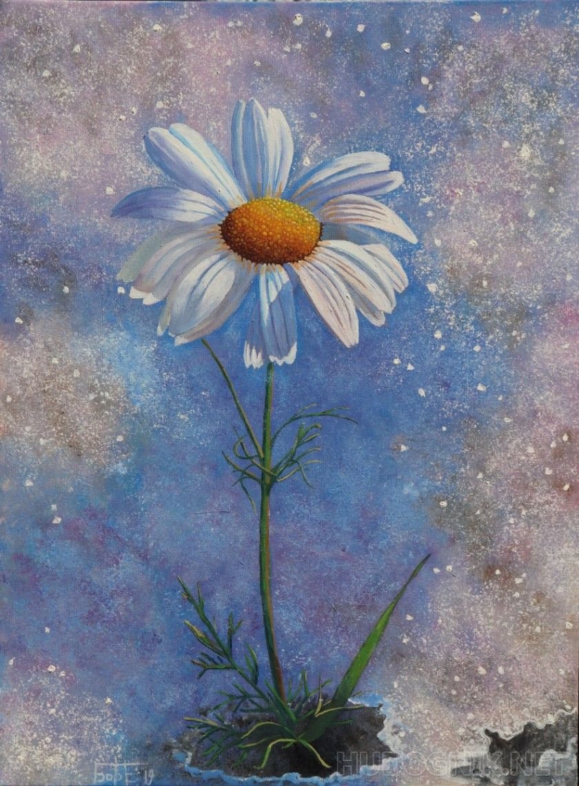 Ромашки арт