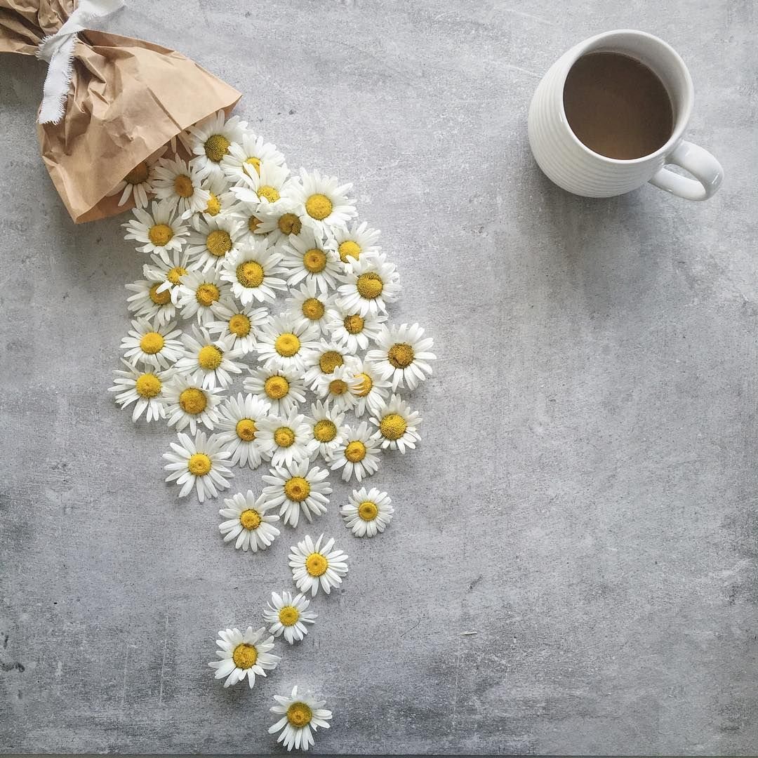 Доброе утро кофе и цветы ромашки