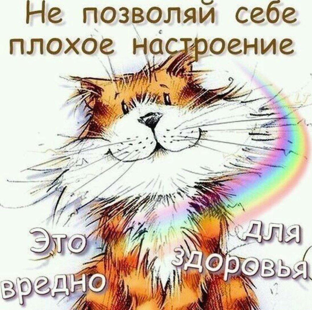 Со средой прикольные смешные