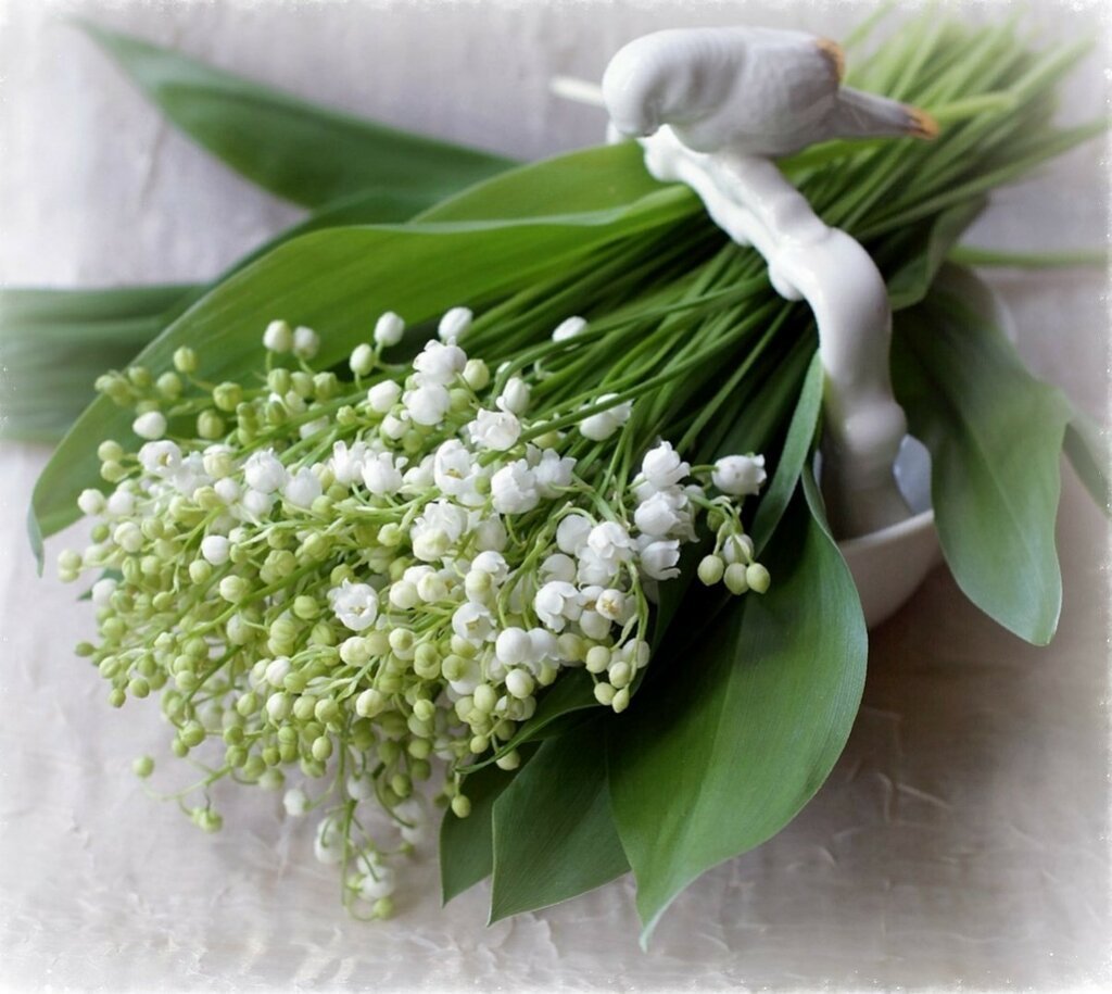 День ландышей 19 мая