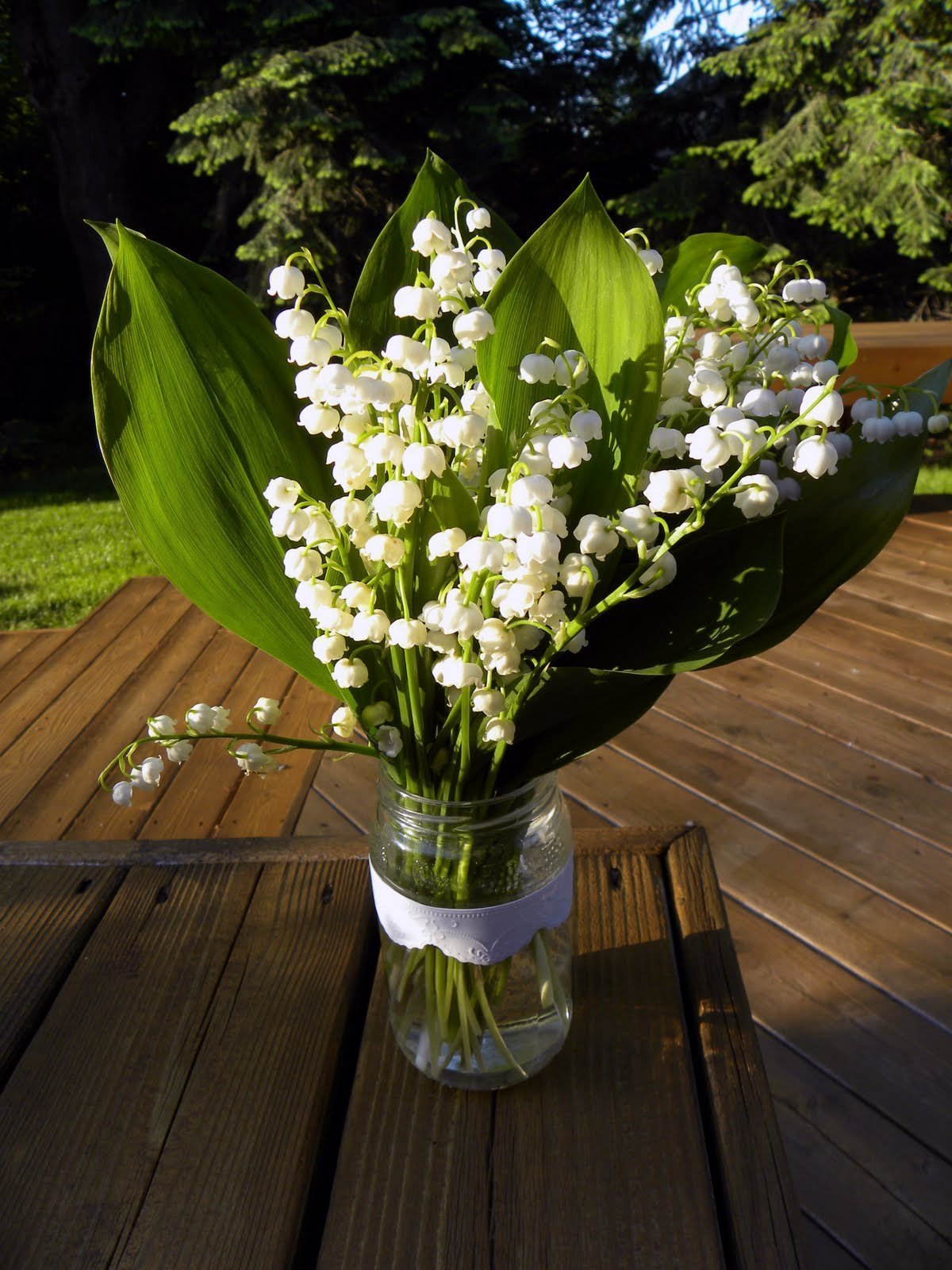 Черемша Ландыш