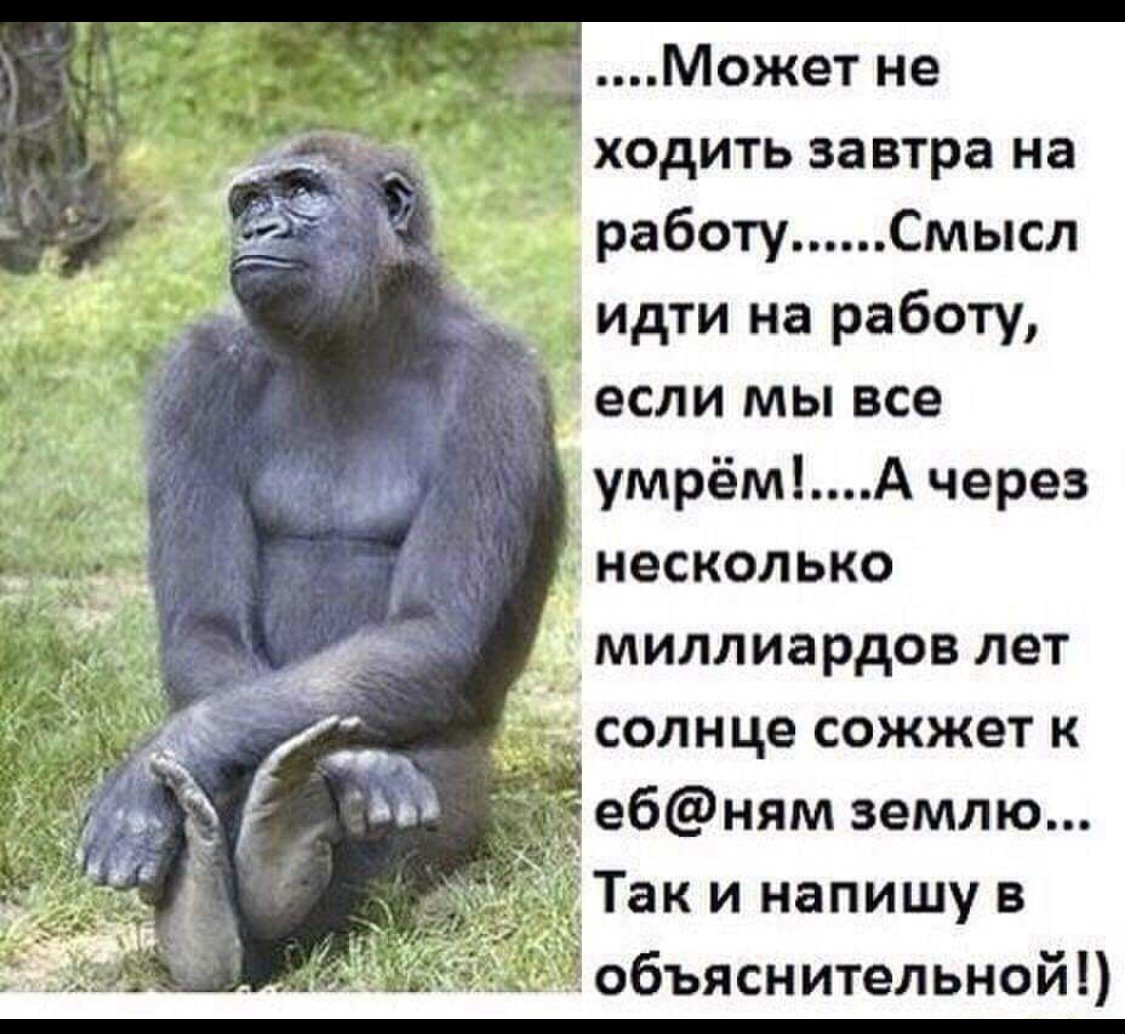 Приколы не хочу на работу