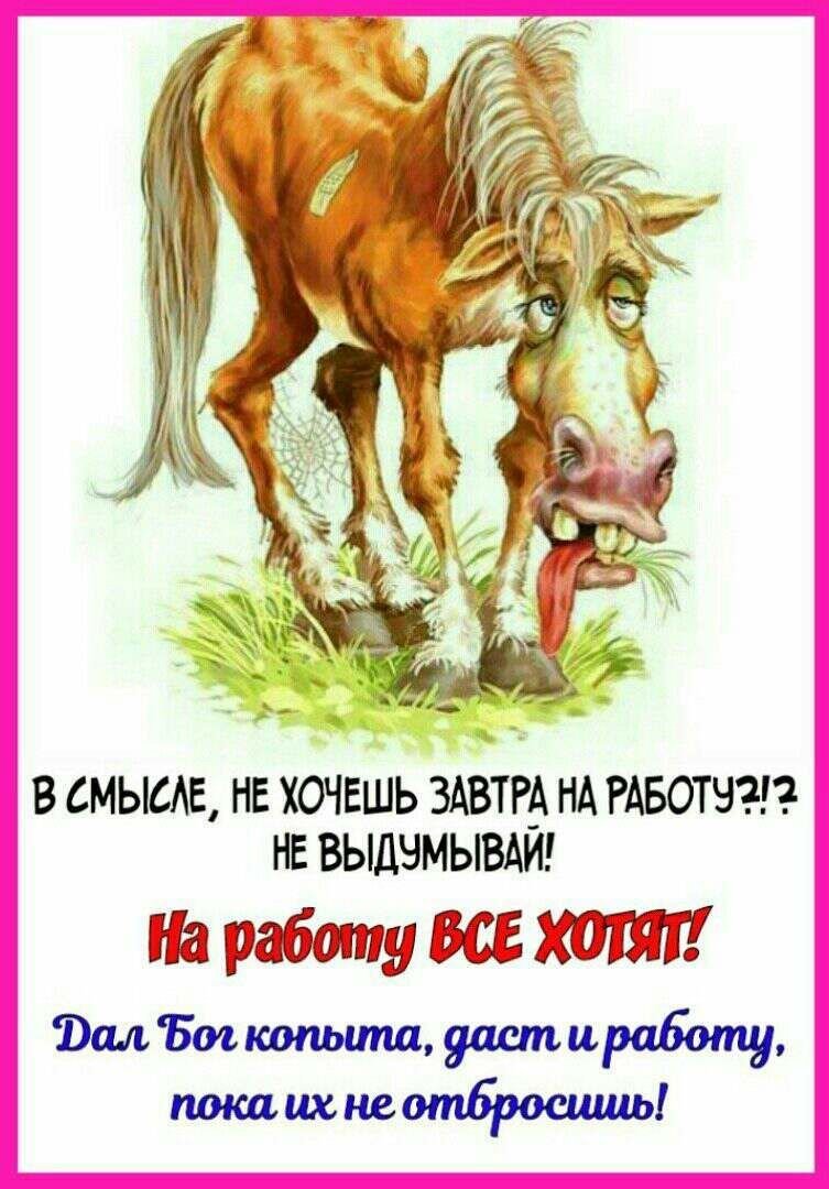 Приколы не хочу на работу