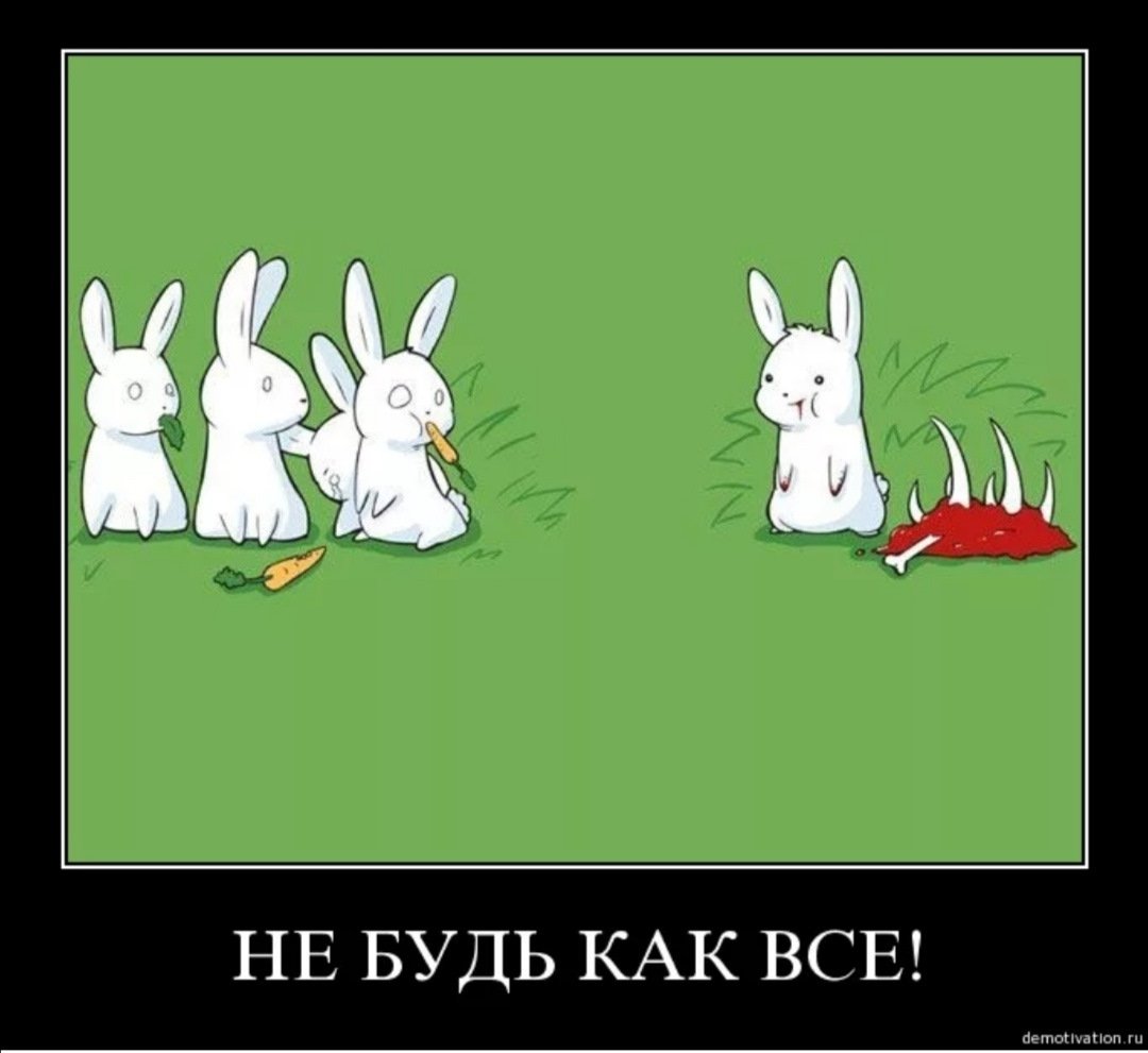 Смешные зайчики