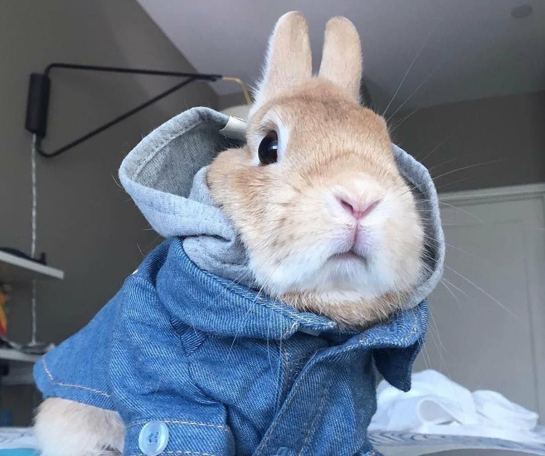 Прикольные рисунки