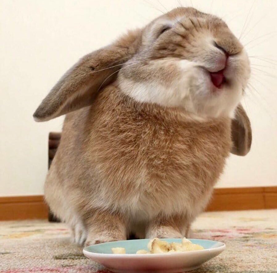 Заяц Беляк с зайчатами