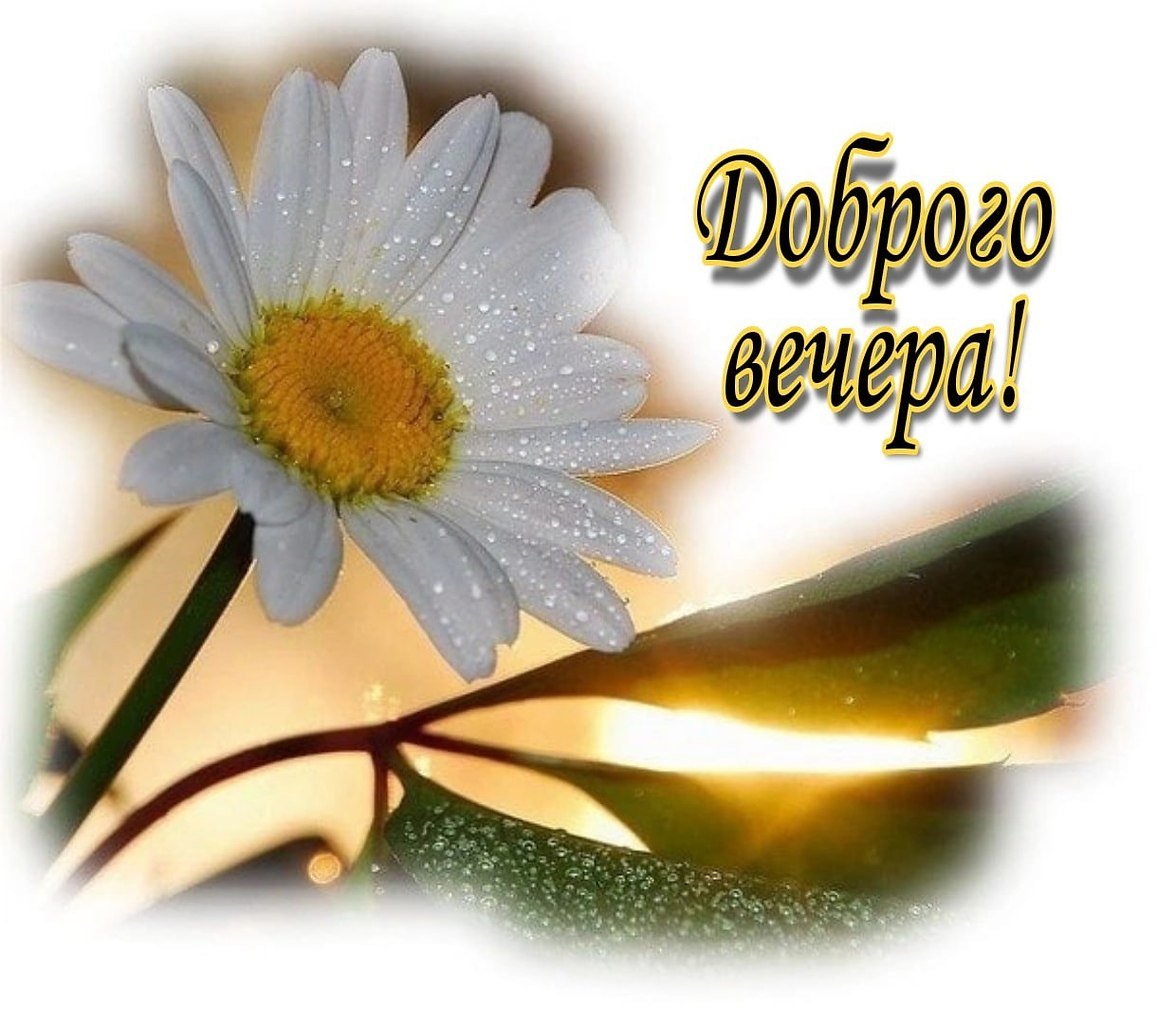 Хорошего вечера и доброй ночи