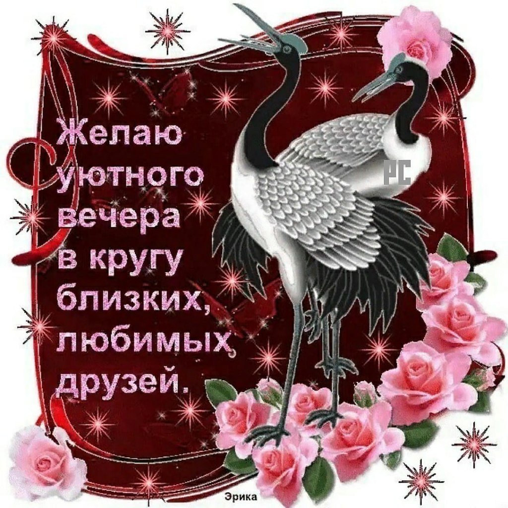 Добрый день мужчине