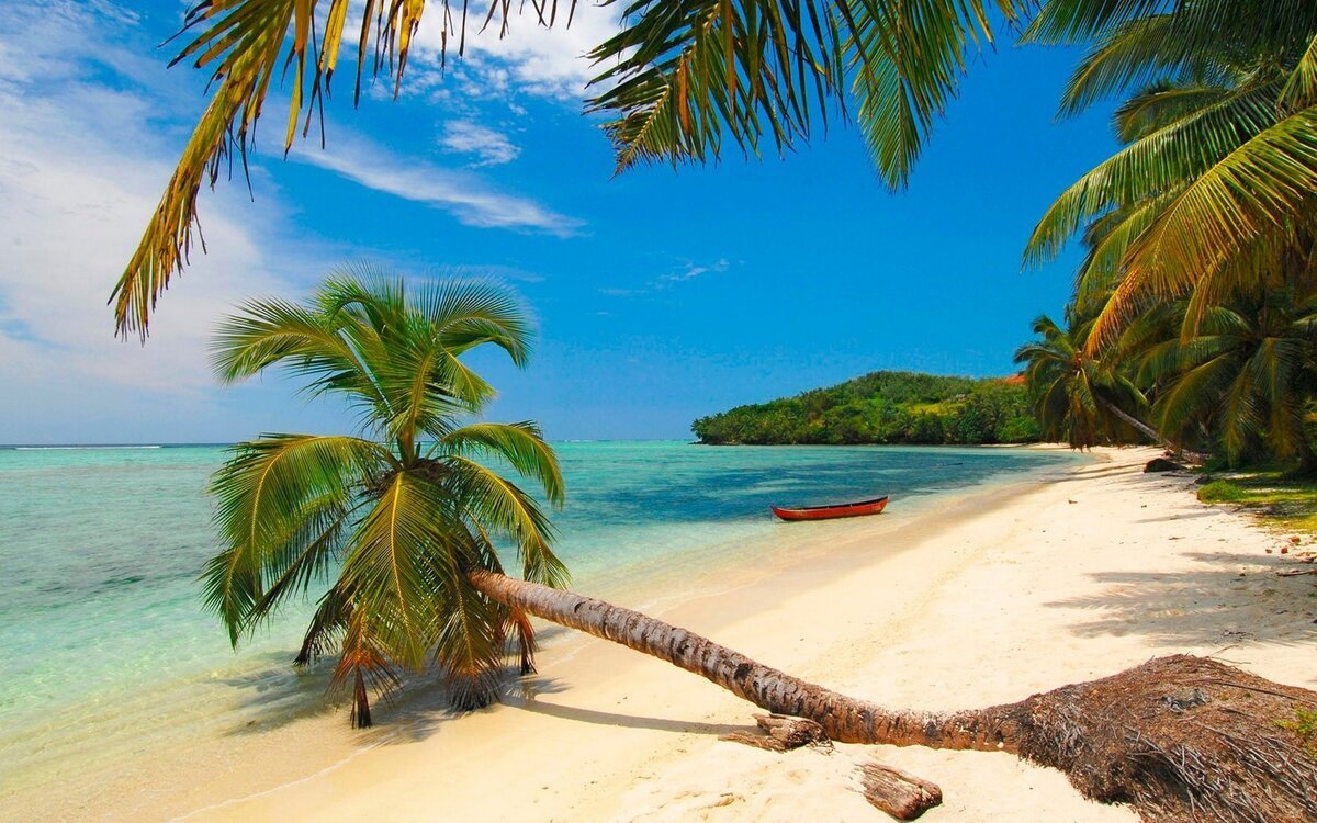 Остров Мадагаскар мультик