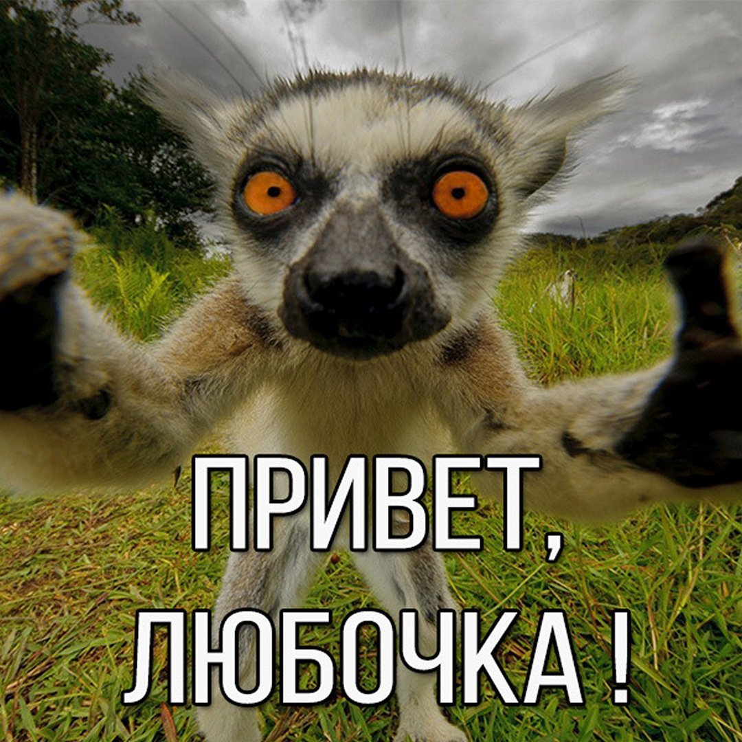 Мем не надо так шаблон