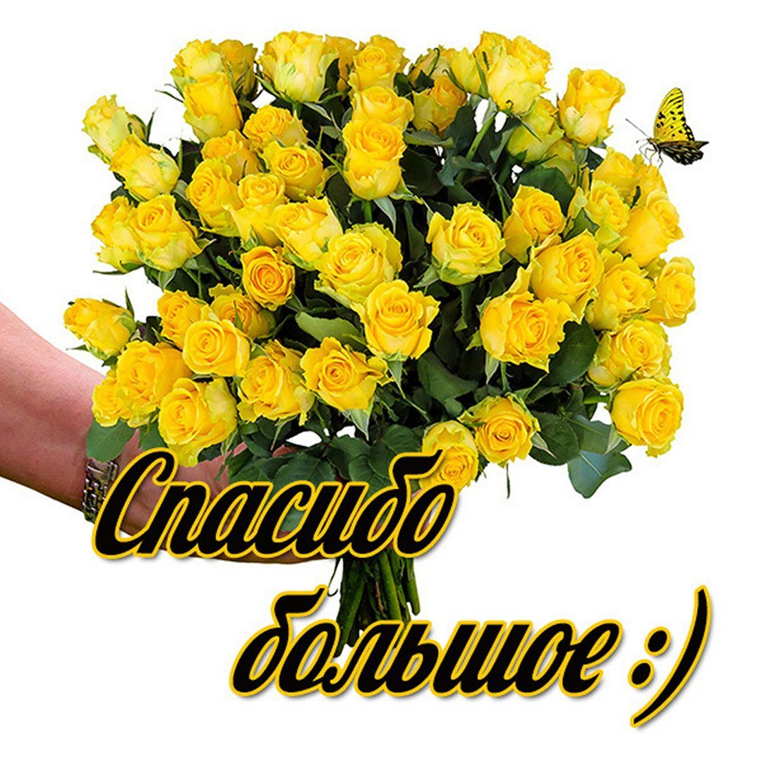 Спасибо за творчество