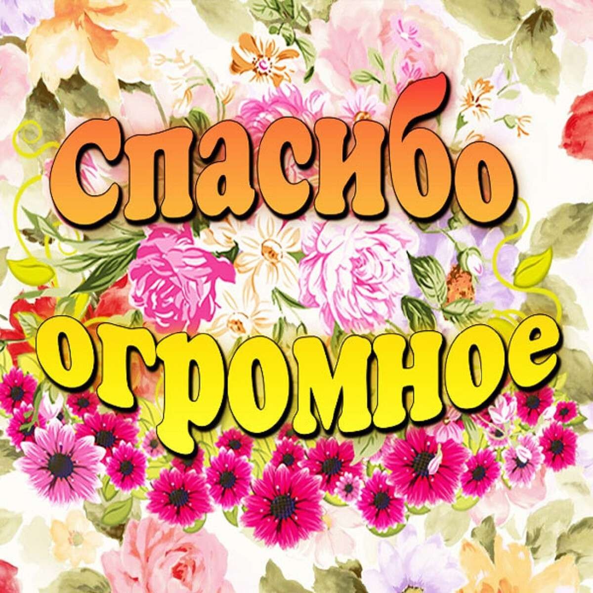 Добрые пожелания с бабочками