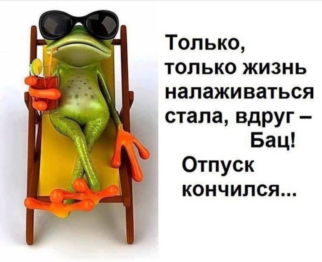 Отпуск закончился приколы