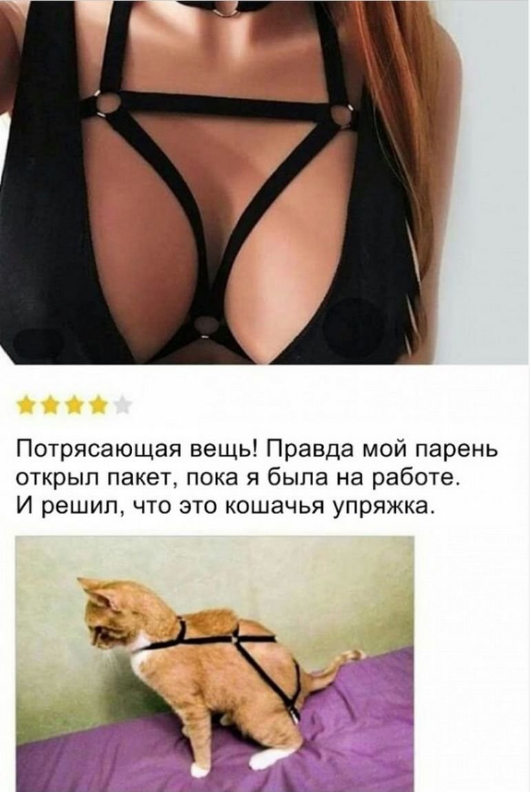 Весёлые надписи для поднятия настроения