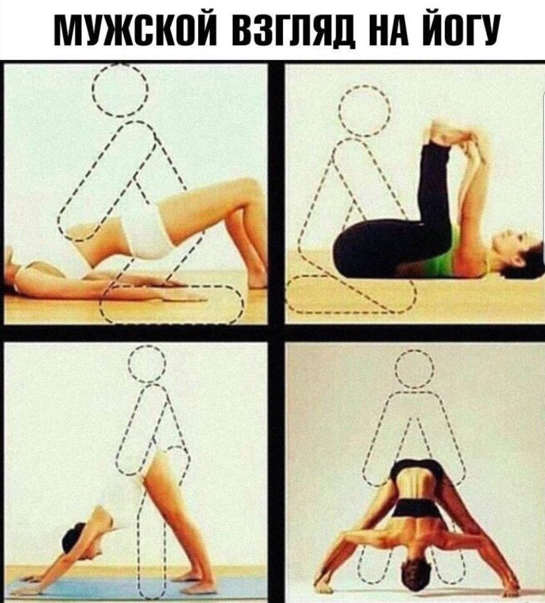 Кот и бутерброды с икрой