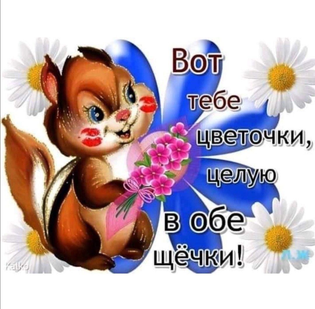 Хорошей субботы и отличного настроения