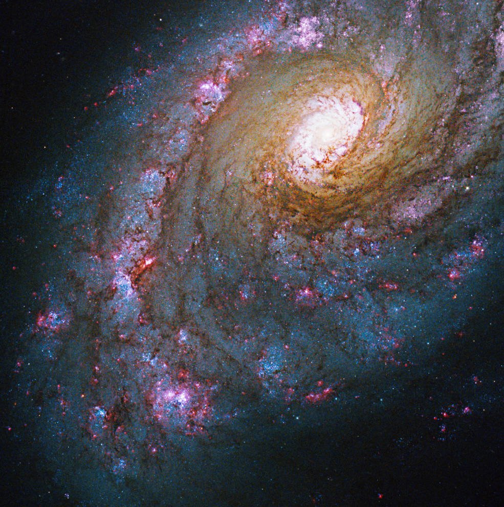 Галактика NGC 7674