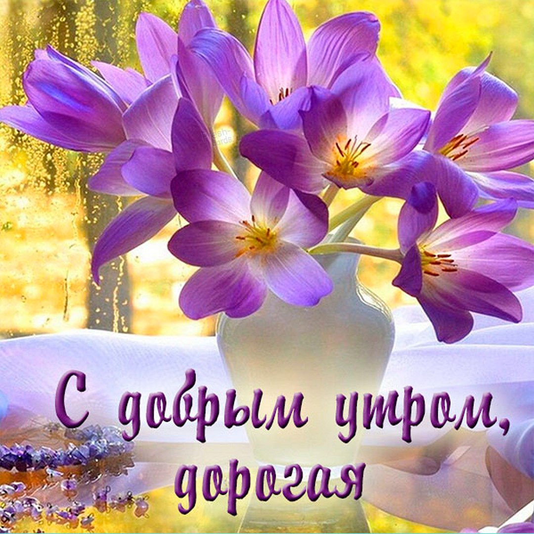 Доброго майского дня