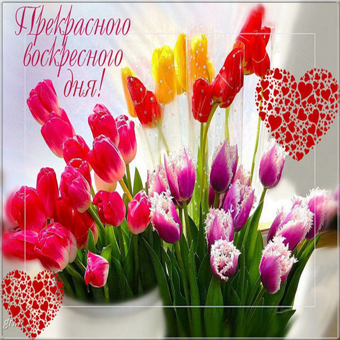 Здравствуй Весна