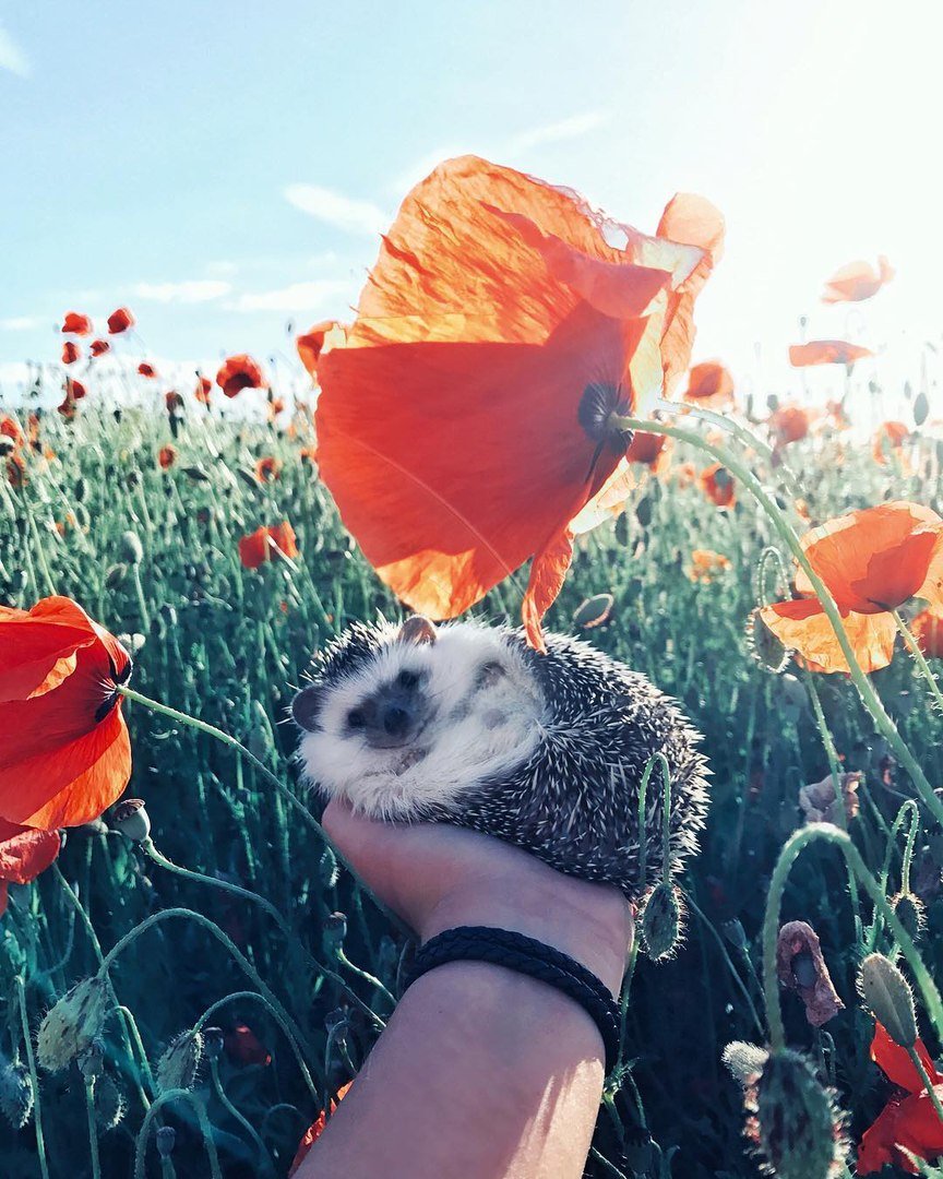 Позитивные красивые