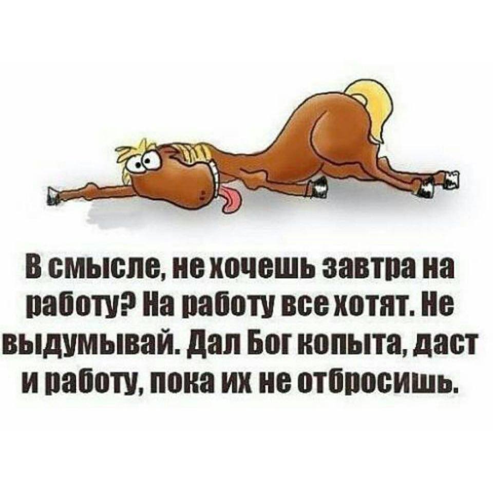 Граждане алкоголики хулиганы тунеядцы