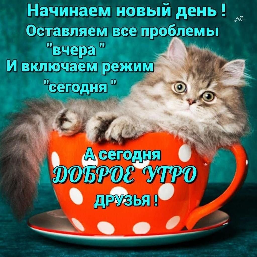 Креативное утро