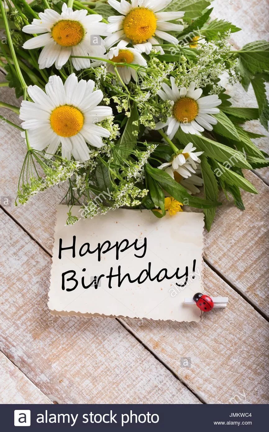 Метрика сестре