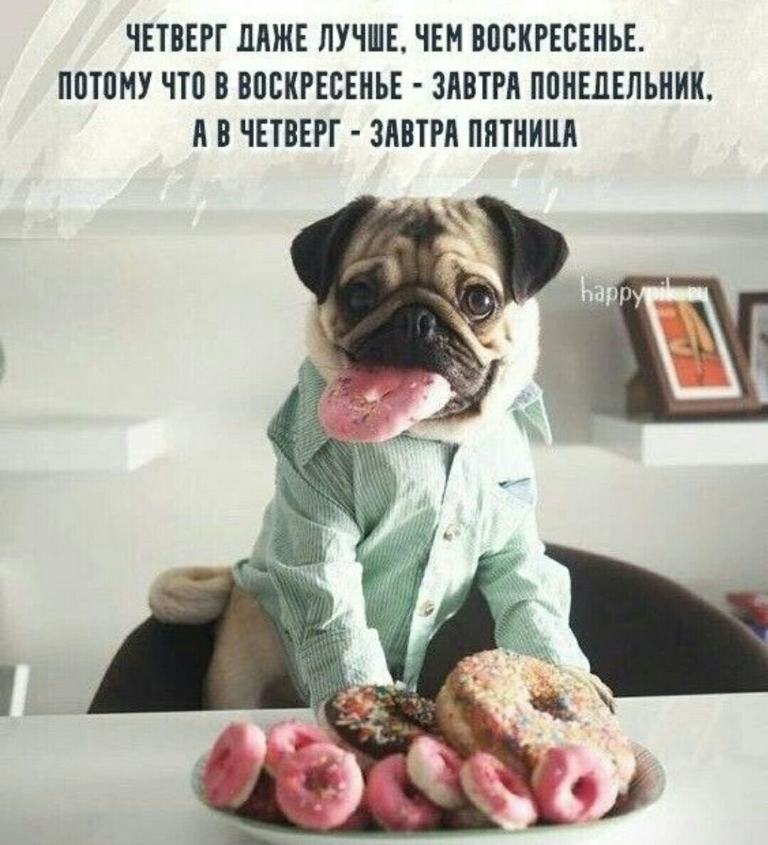 Четверг приколы