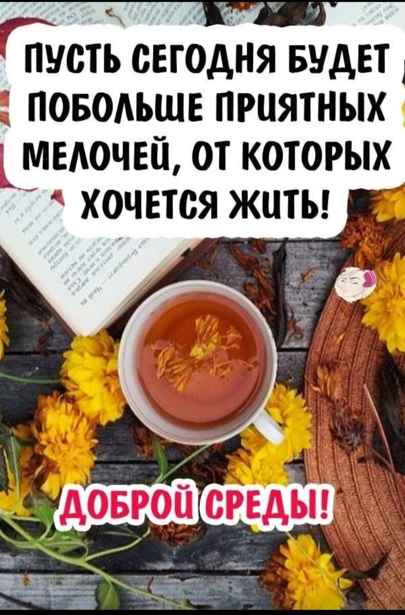 С добрым утром четверга прикольные смешные