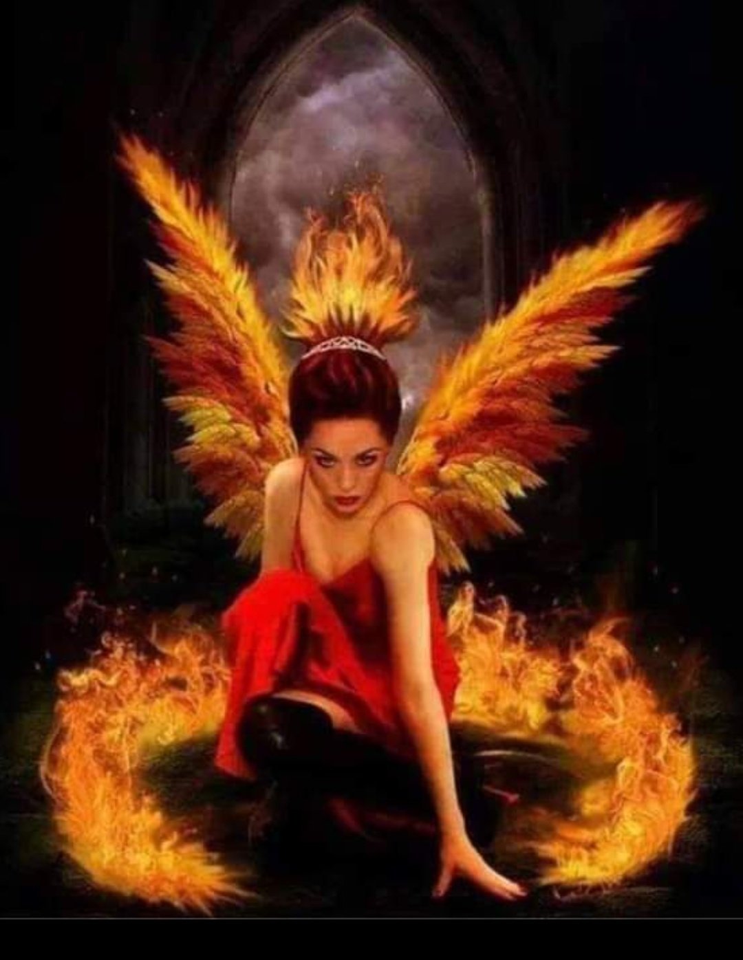 Фохов птица Феникс