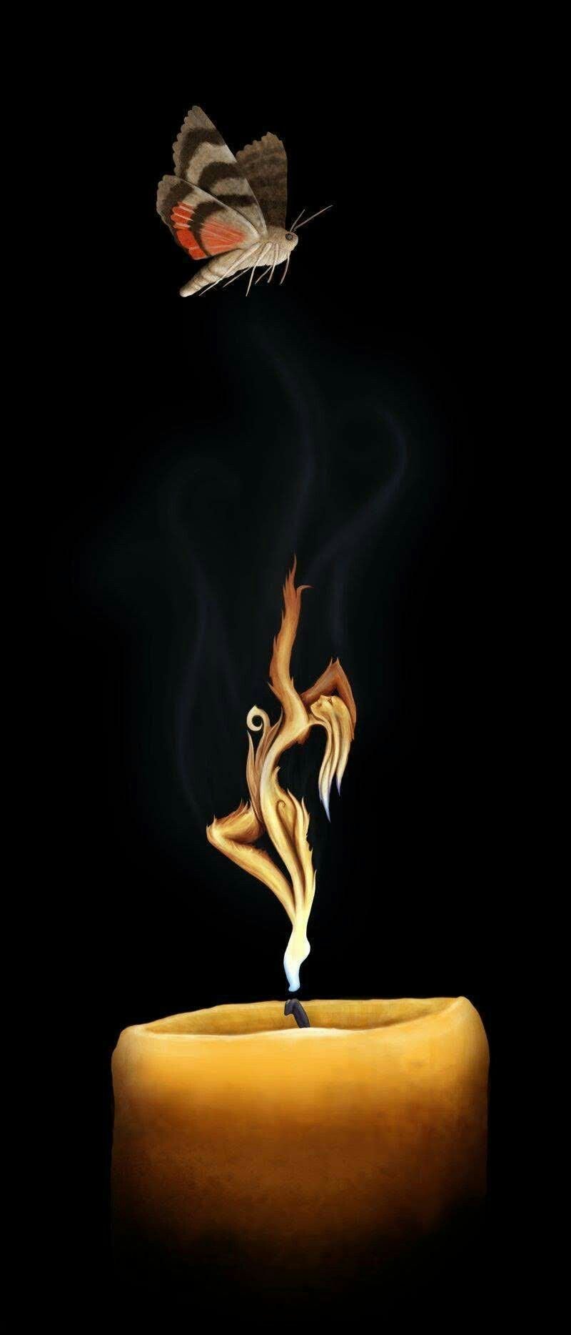Мотылек летит на огонь
