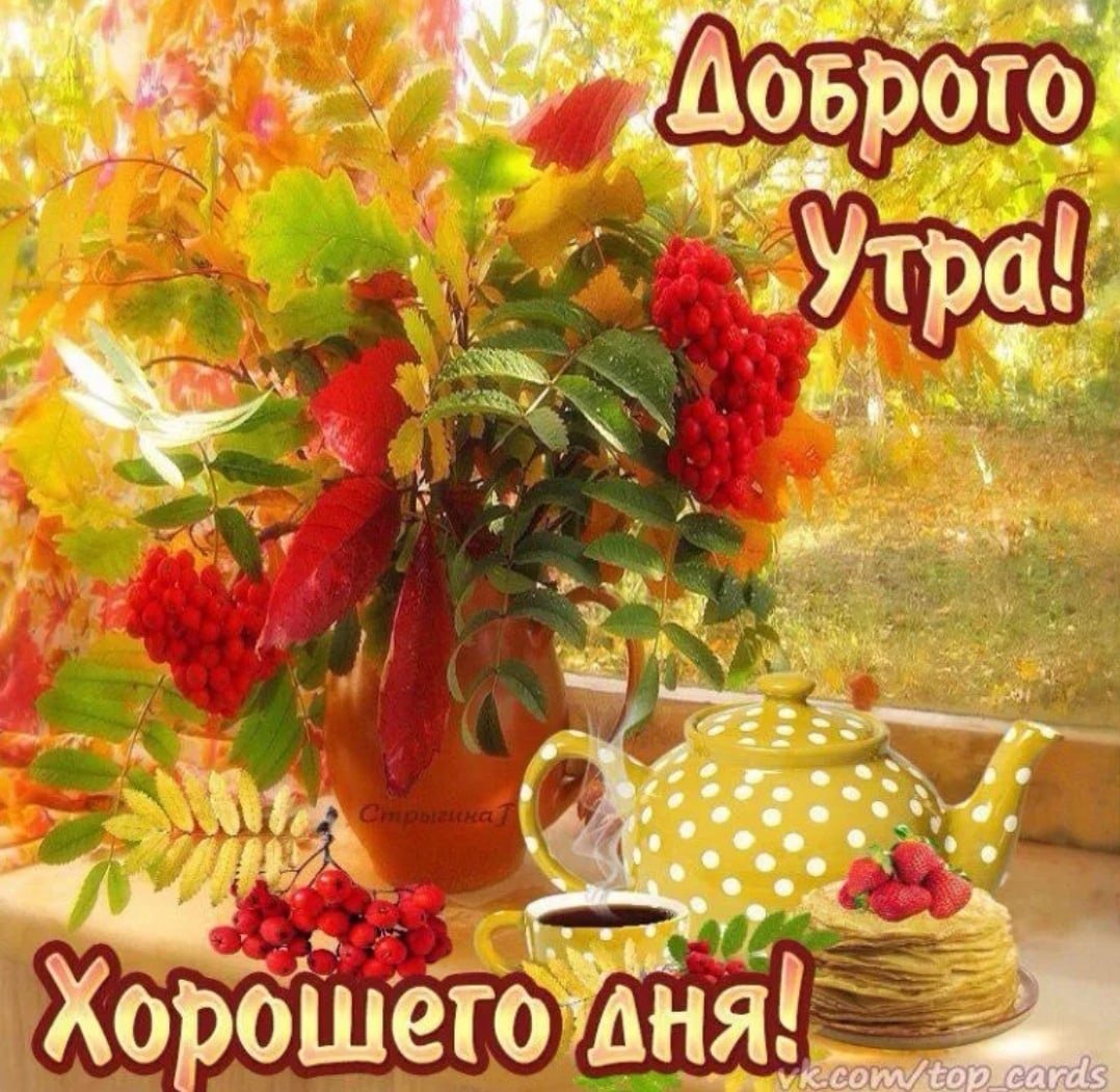 Открытки доброе утро хорошего дня