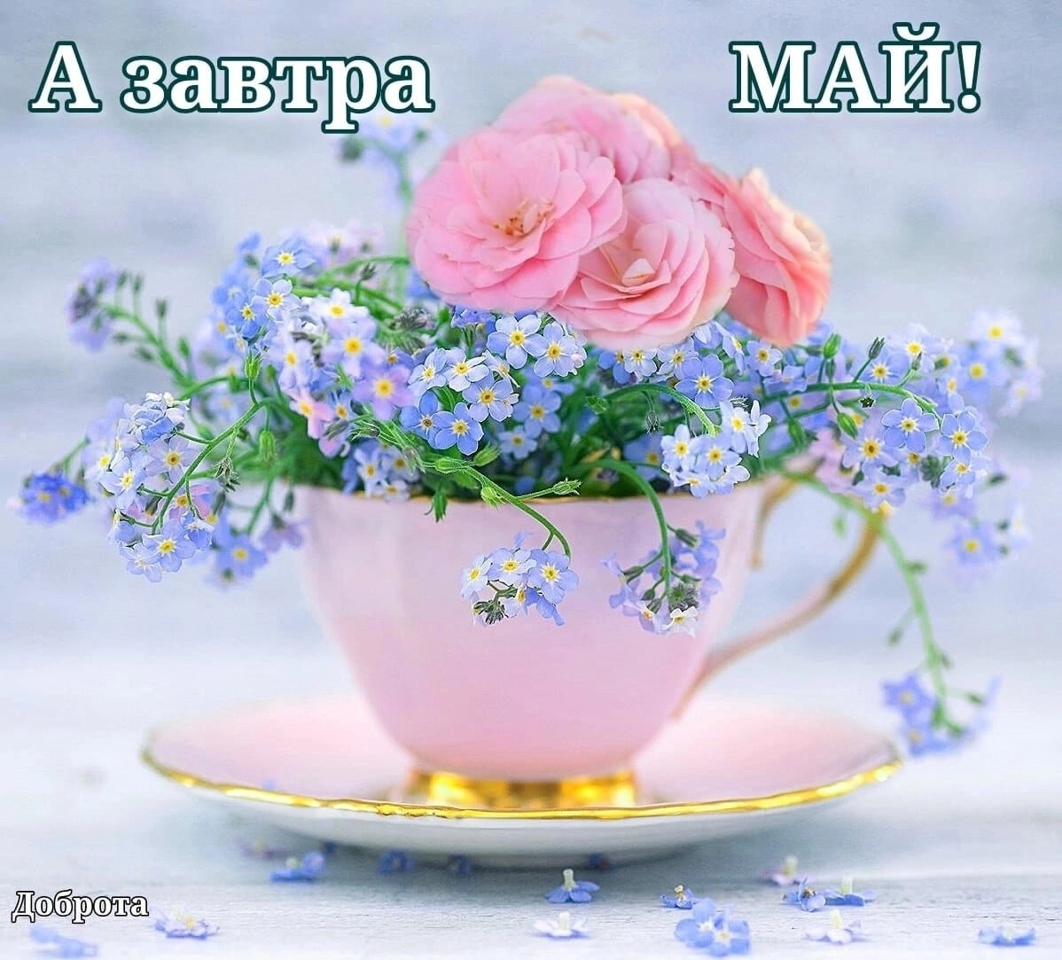 Доброе утро красивые необычные нежные