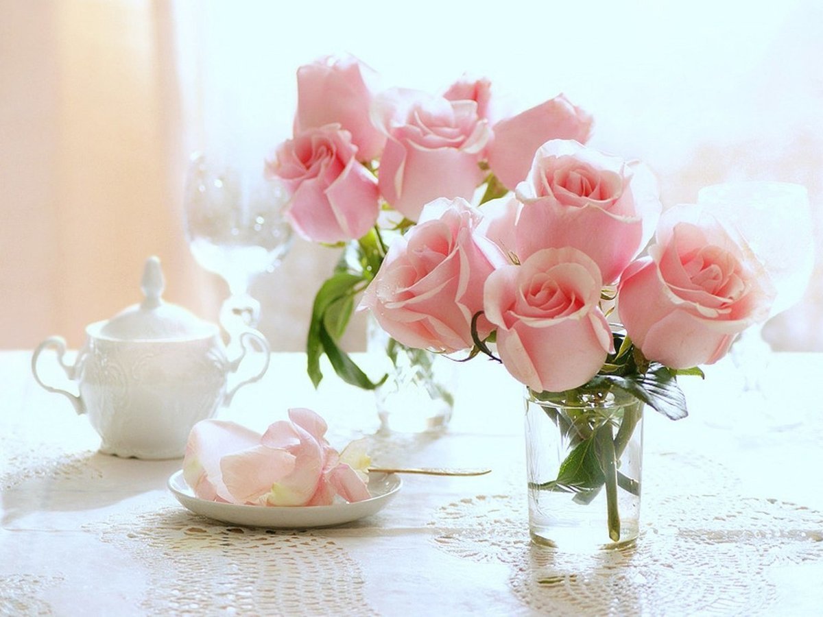 Цветы красивые нежные