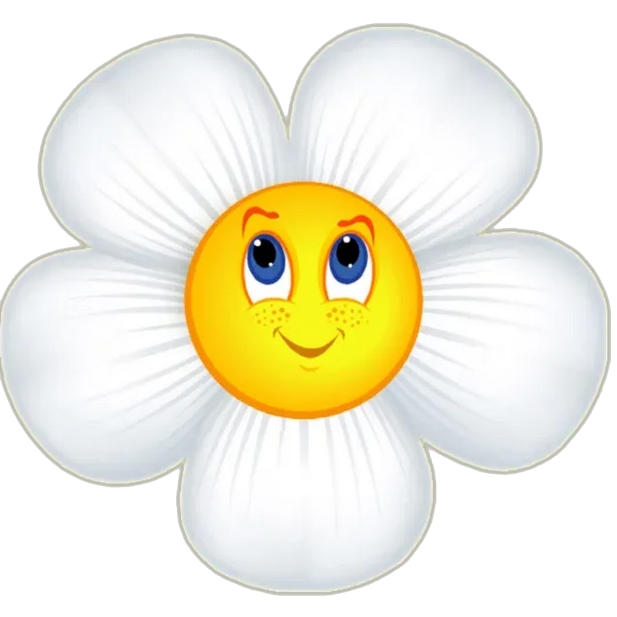 Группа Ромашка в детском саду