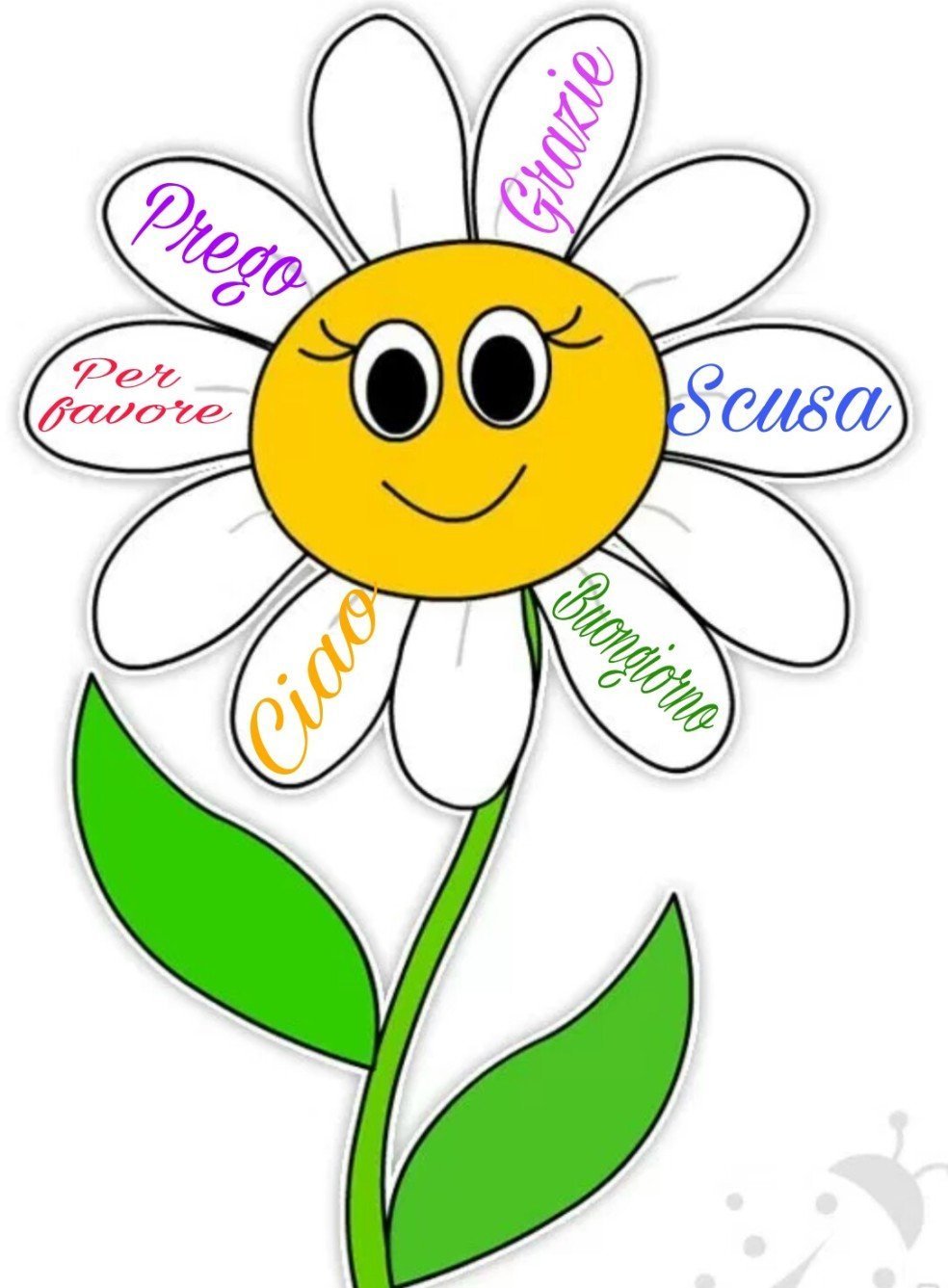 Обложка для группы ромашки