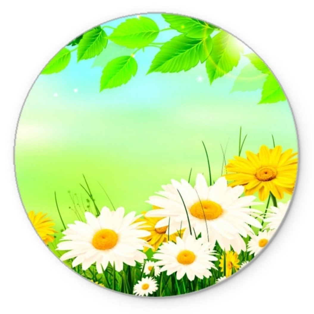 Оформление группы Ромашка