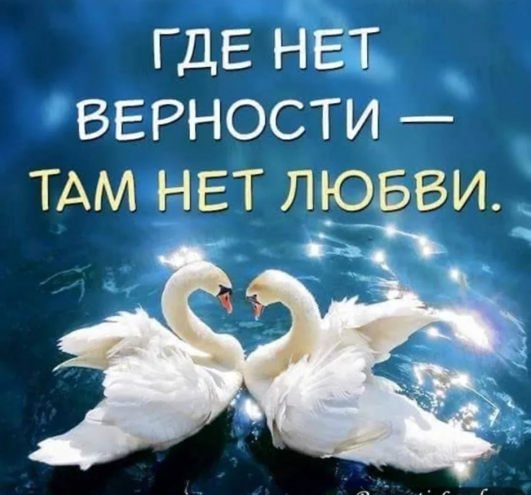 День семьи любви и верности коллаж