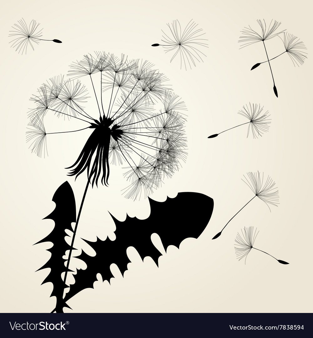 Стилизованный одуванчик чб