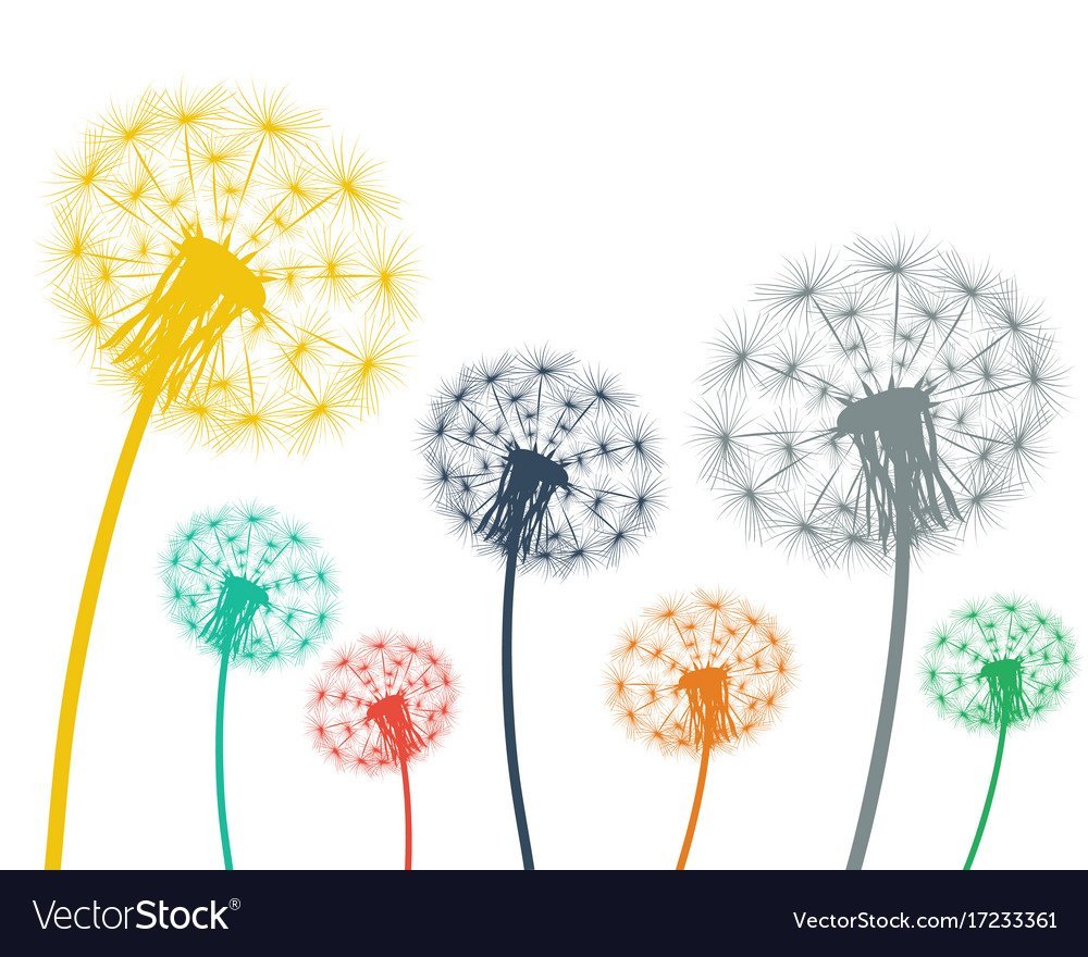 Фон одуванчик разноцветный