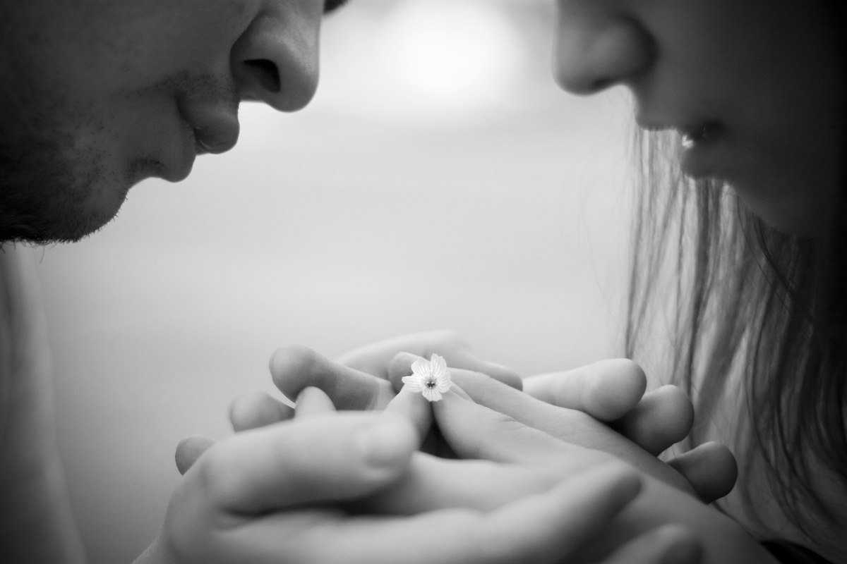 Нежность любовь чувства