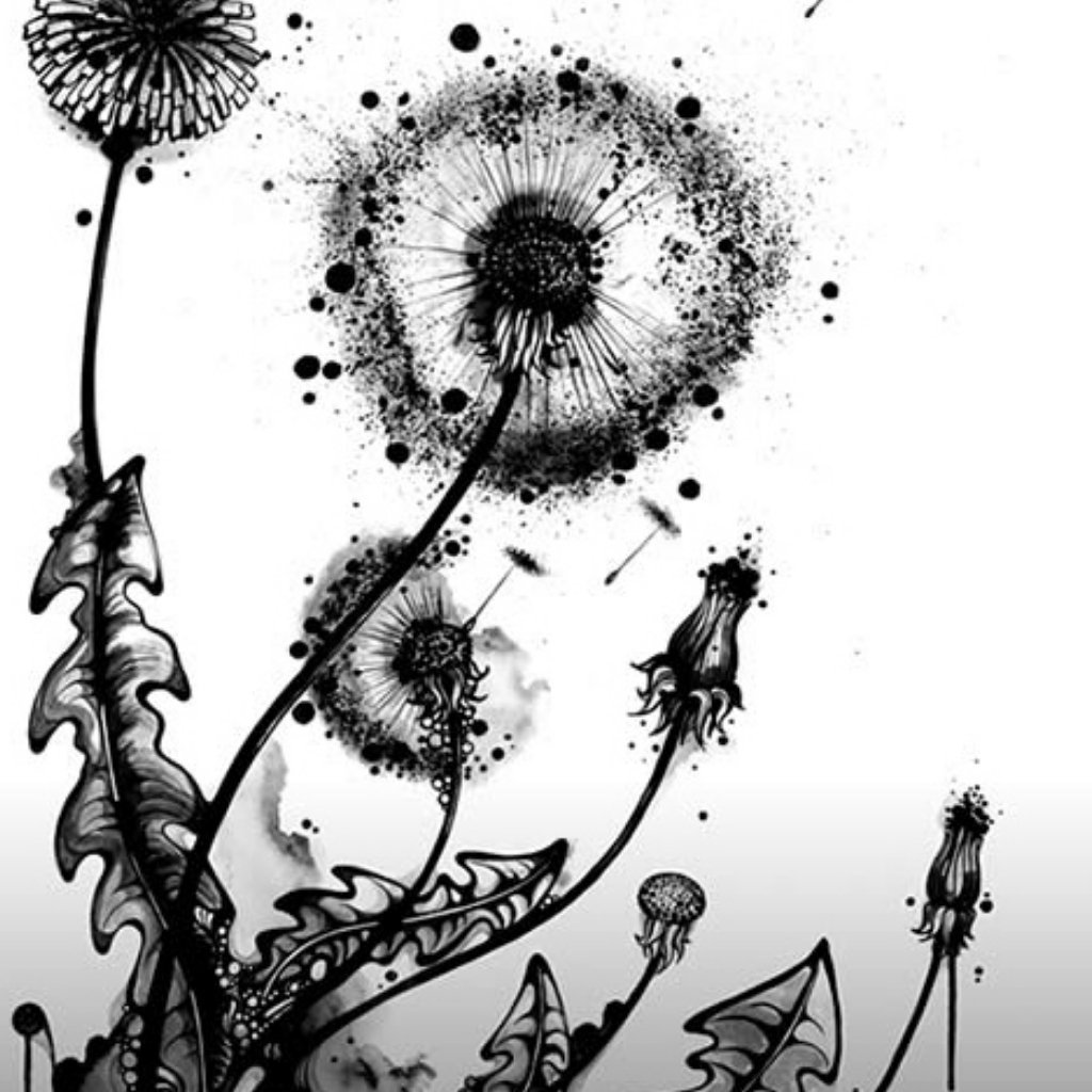 Черно белая Графика