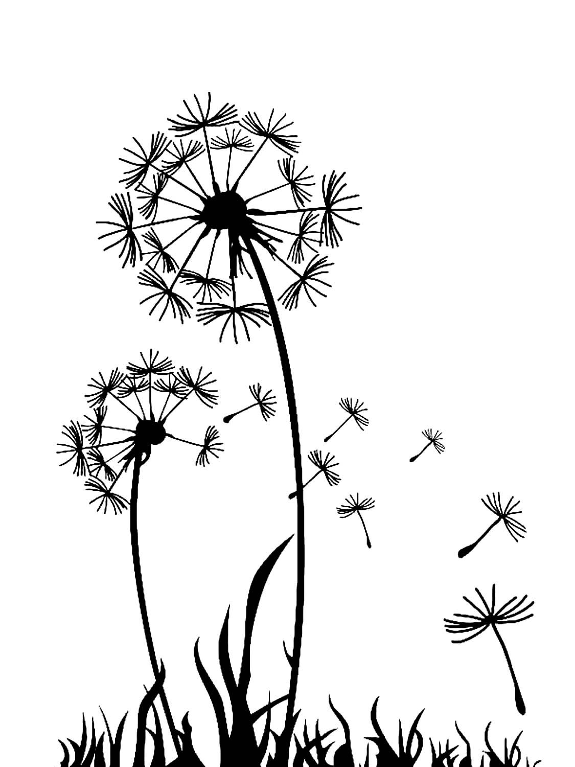 Одуванчик рисунок карандашом
