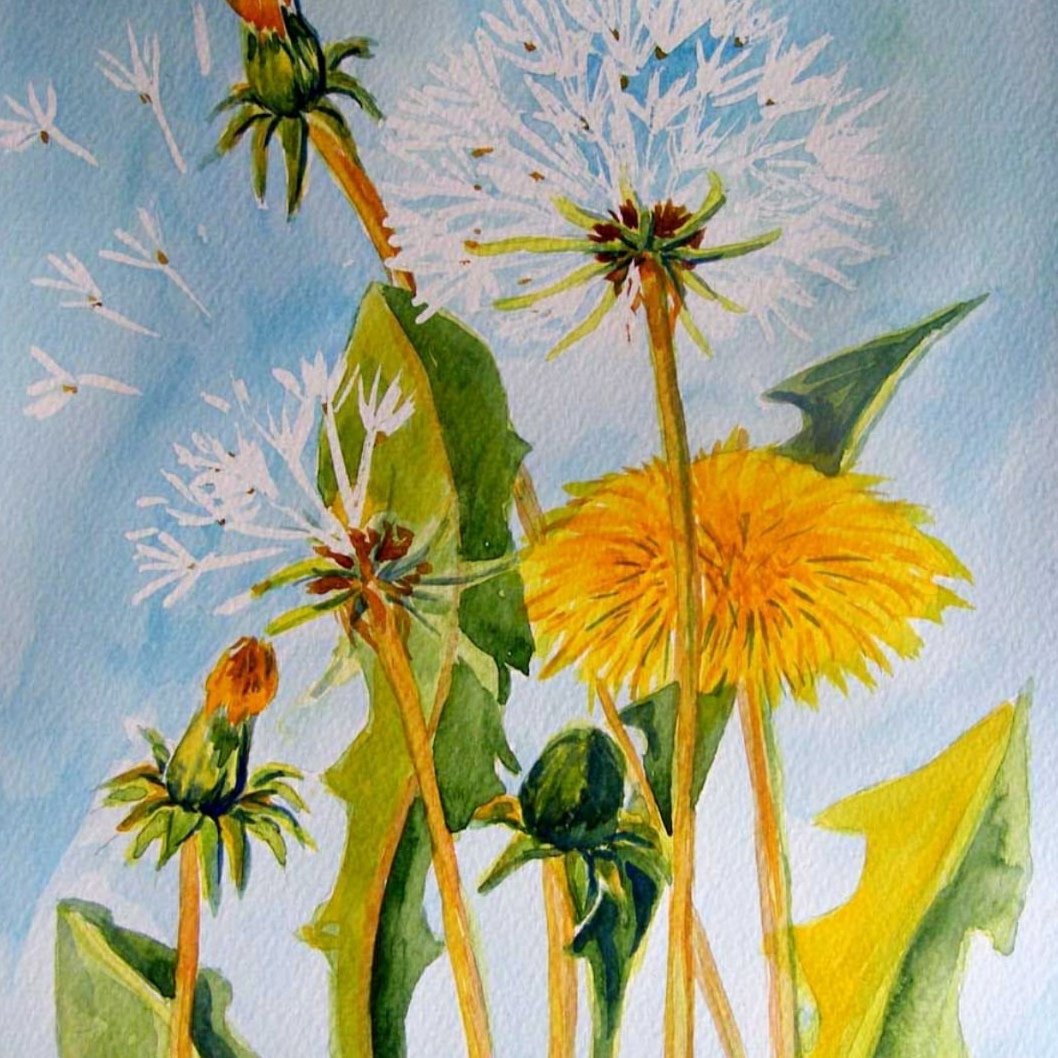 Одуванчики акварелью