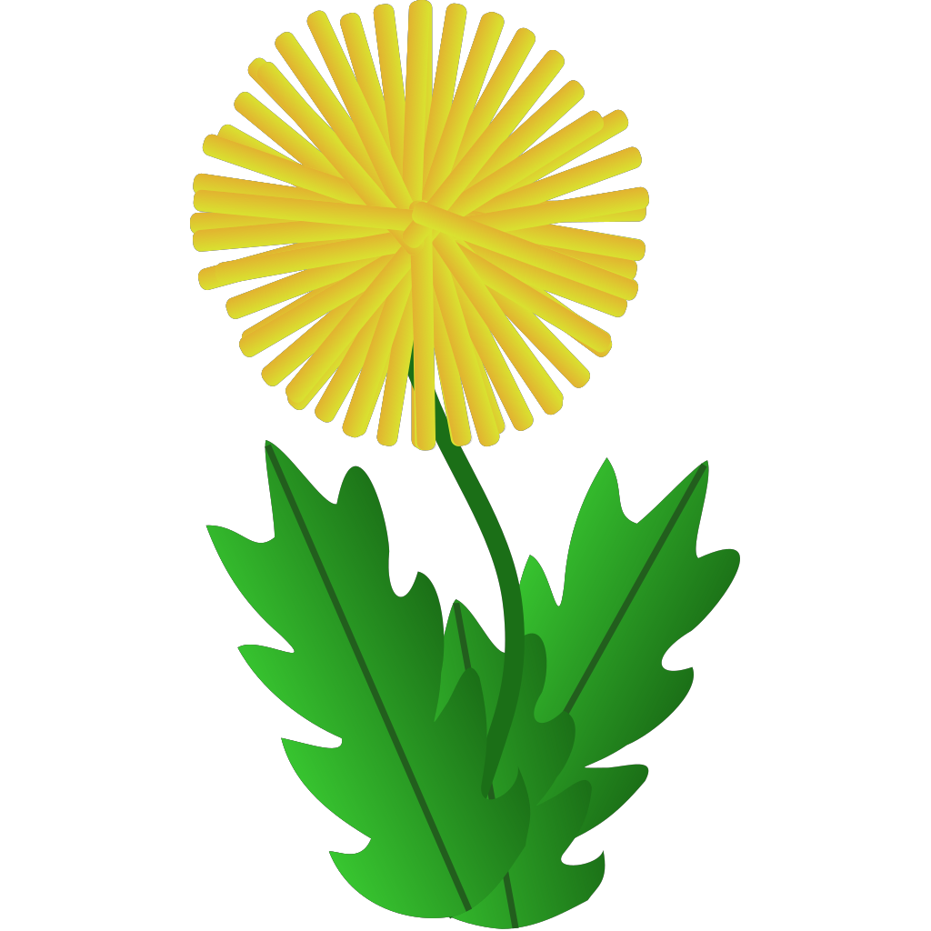 Одуванчик для дошкольников